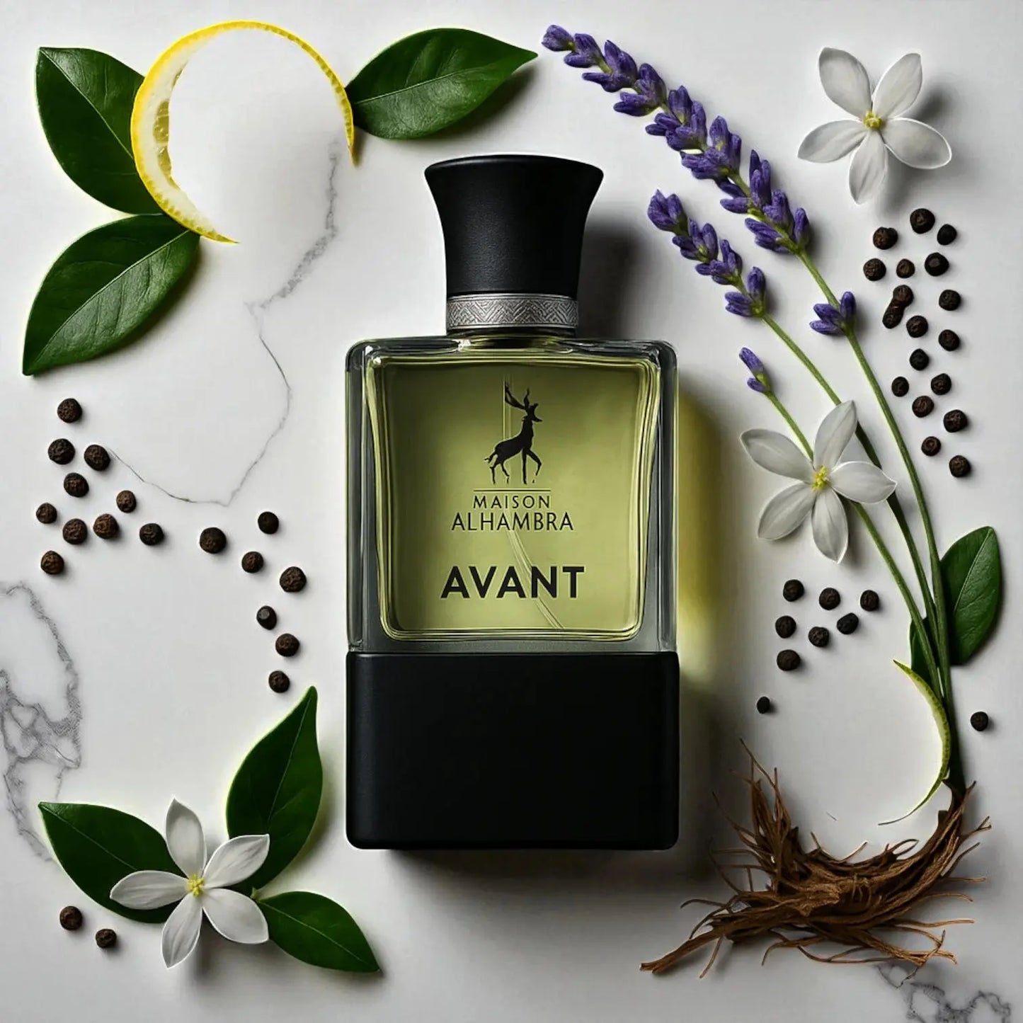 AVANT Maison Alhambra